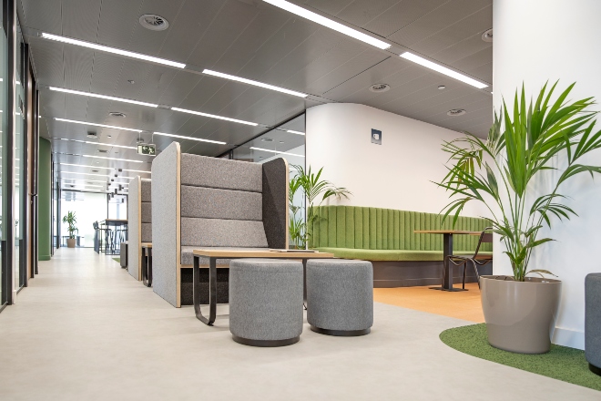 Espacios de trabajo - First Workplaces