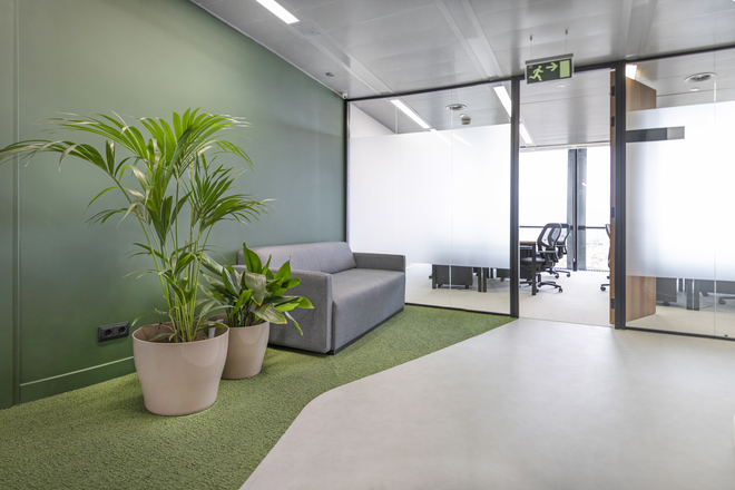 Como la decoración con plantas favorece el Feng Shui en la oficina
